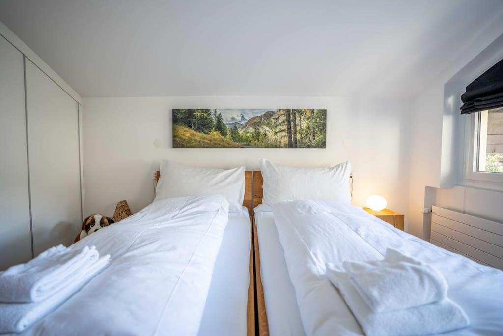 Moderne Wohnung Mit Ausblick Und Viel Sonne เซอร์แมท ภายนอก รูปภาพ